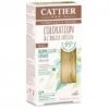 Cattier Coloration Capillaire Naturelle Et Vegan N°8.1 Blond Clair Cendré 120ml